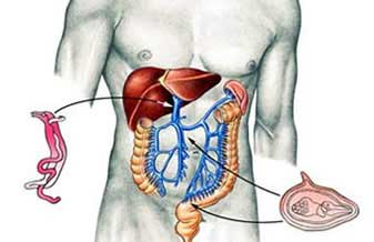 Dr. Sergio Borges - Foto 1