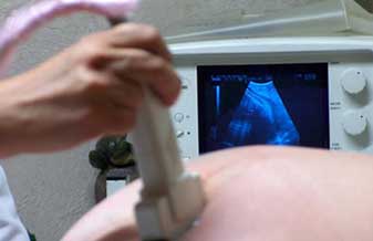 Dr. Carlos Eduardo Gonzalez - Foto 1