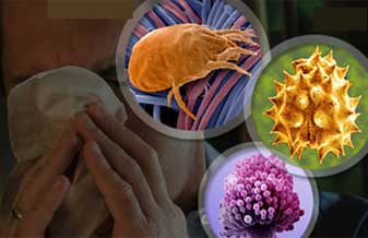 Dra. Marcia Diniz - Foto 1