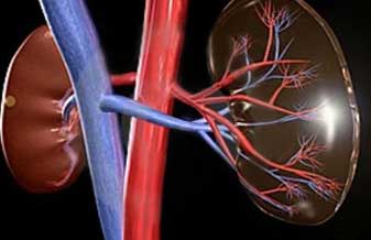 Ronald Ricci Junior - Foto 1