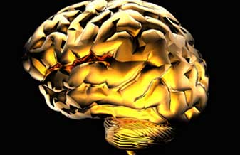 Dr. Felipe Von Glehn Silva - Foto 1