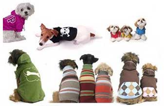 Elisangela Margarete Didone Pet Shop - Foto 1