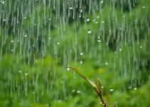 chuva rápida em Santa Bárbara d'Oeste