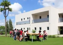 FHO inicia atividades