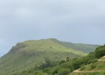 Santa Bárbara d'Oeste