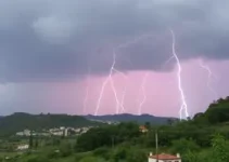 Santa Bárbara d'Oeste