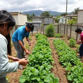 Programa Municipal de Agricultura Urbana e Periurbana