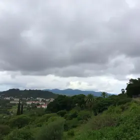 Santa Bárbara d'Oeste