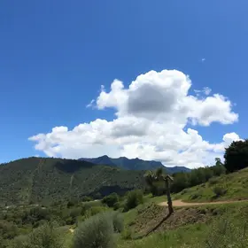 Santa Bárbara d'Oeste