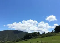 Santa Bárbara d'Oeste