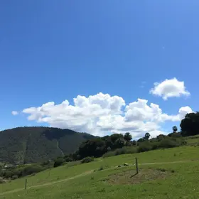 Santa Bárbara d'Oeste