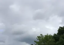 Santa Bárbara d'Oeste