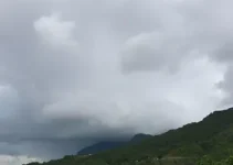 Santa Bárbara d'Oeste