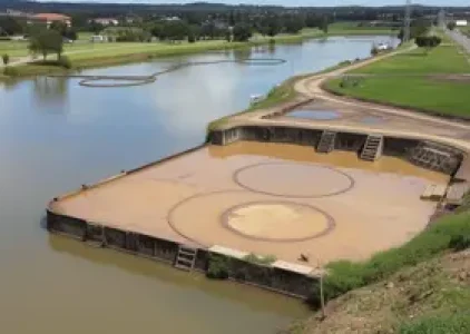 Últimas noticias de Santa Bárbara d’Oeste