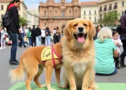 Últimas noticias de Santa Bárbara d’Oeste