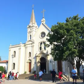 Cão Véio