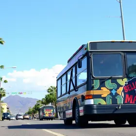 linhas especiais de ônibus com tarifa zero
