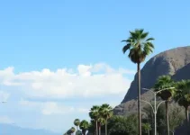 vagas de emprego