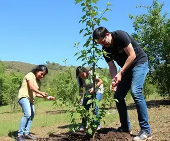 Programa Vida Verde